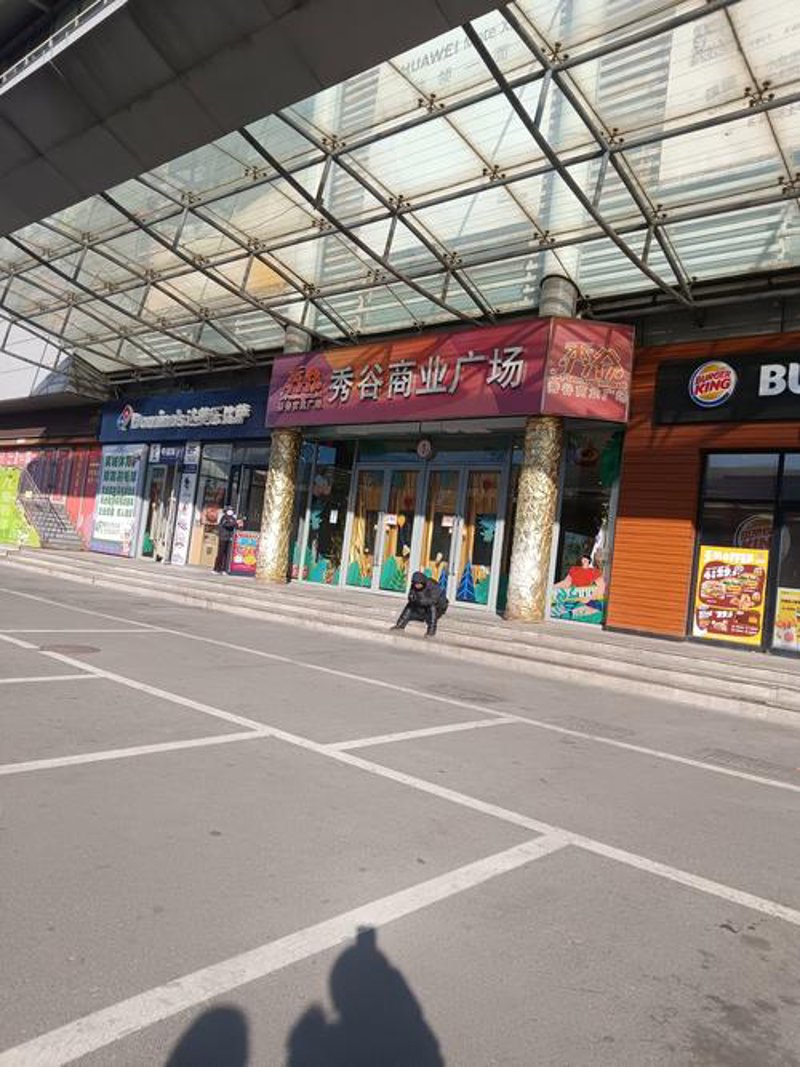 网购平台购物技巧大全：精明选择，聪明消费